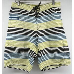 Patagonia Board Shorts Mens 34 Blue Green Black Striped 11.5" Inseam